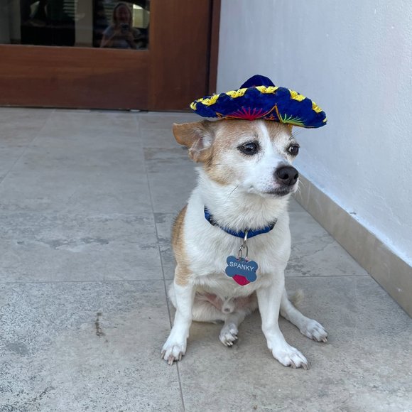 HELLO WELCOME TO MY POSHMARK CLOSET! - Picture 4 of 8